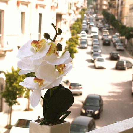 Apartmán Dimore Demetra Canosa di Puglia Exteriér fotografie