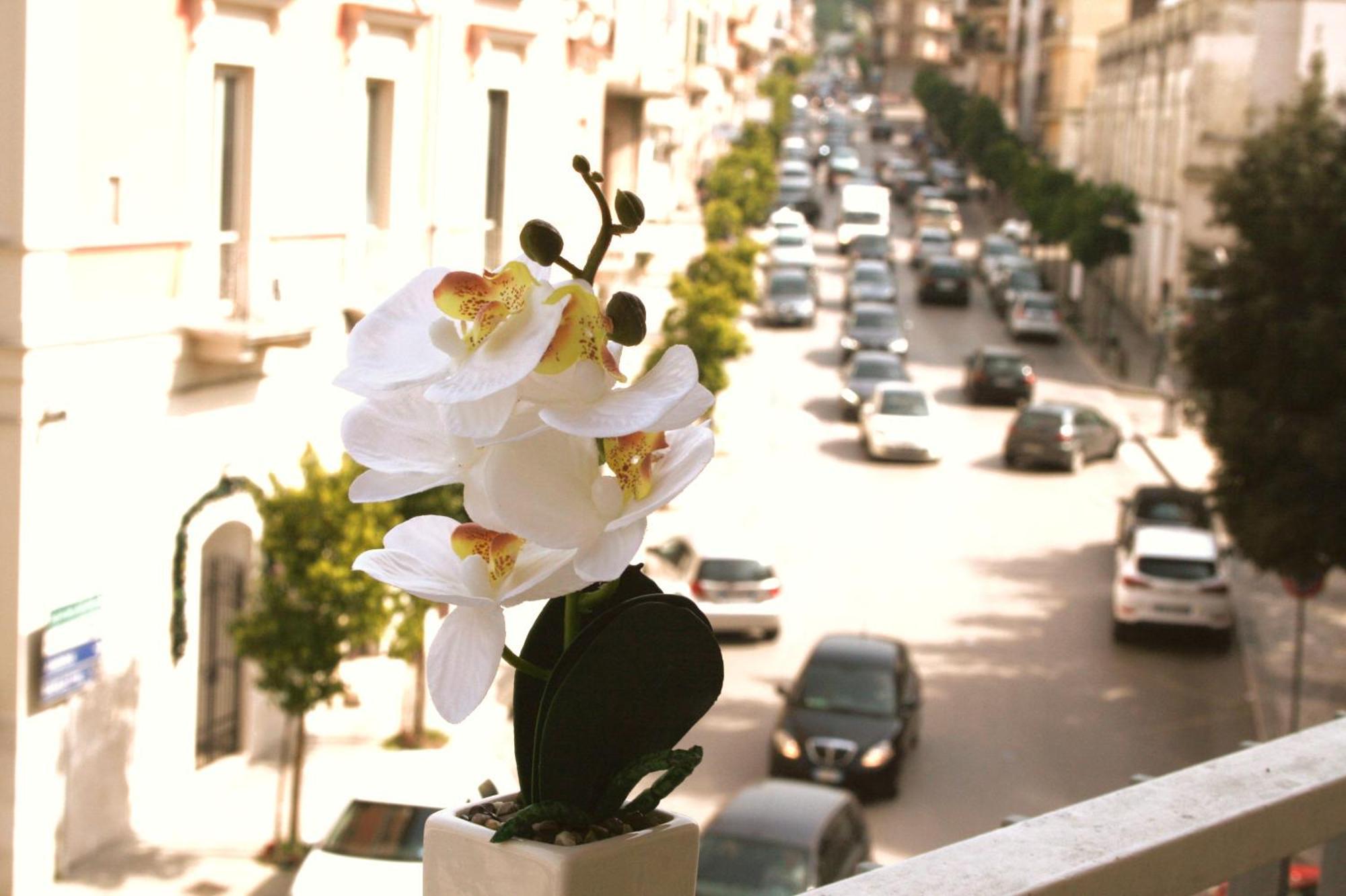 Apartmán Dimore Demetra Canosa di Puglia Exteriér fotografie